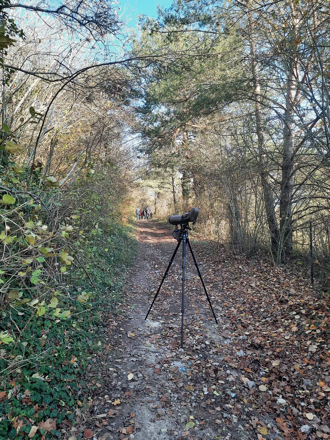 Sortie nature !