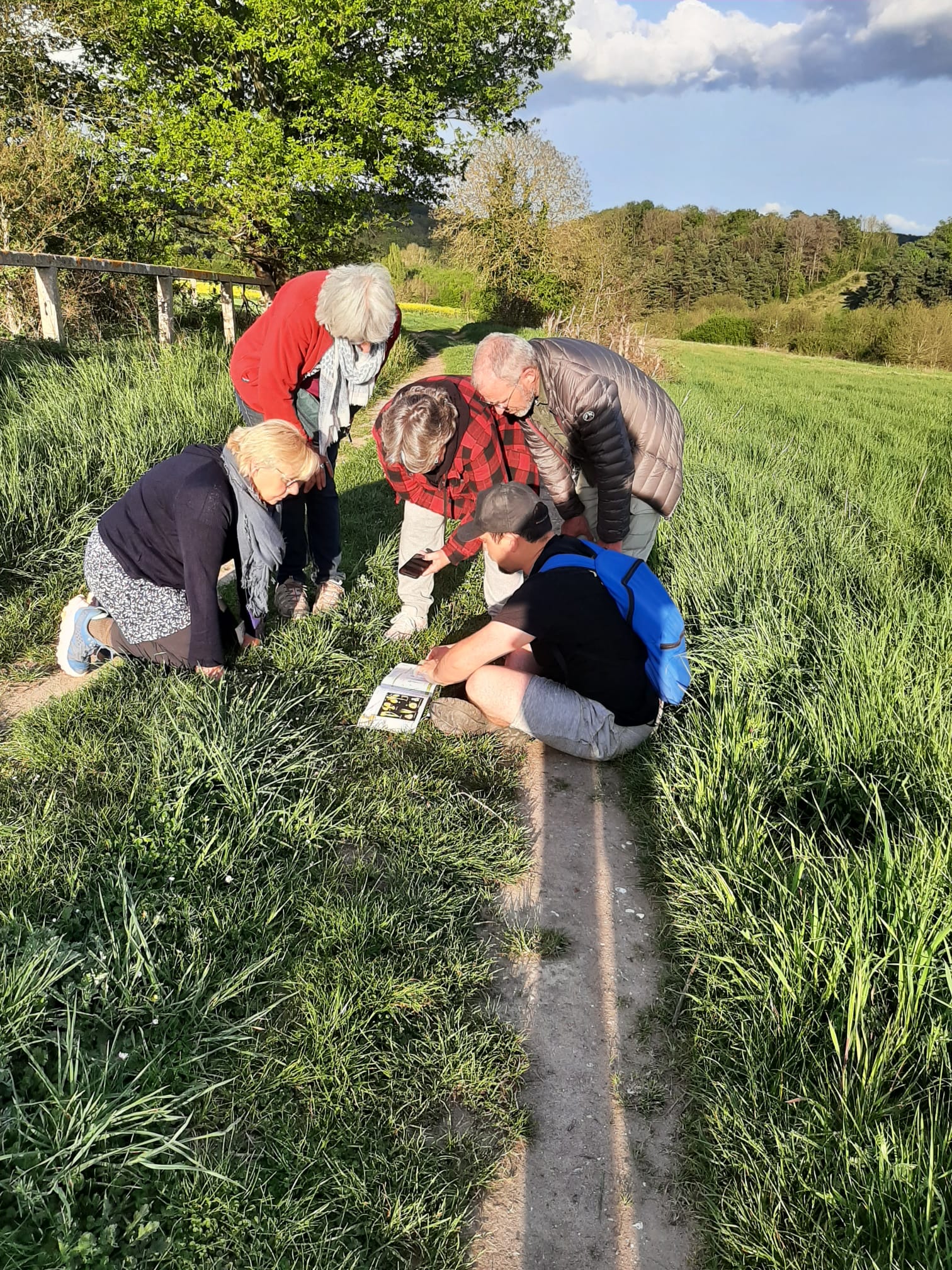 🌱 Sortie découverte : initiation à la botanique – 16 avril 2025